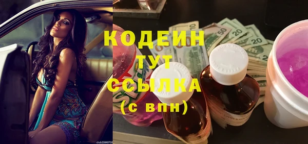 apvp Козельск