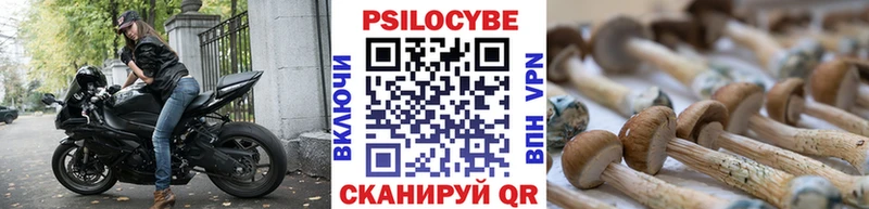 где можно купить   Лагань  Псилоцибиновые грибы ЛСД 
