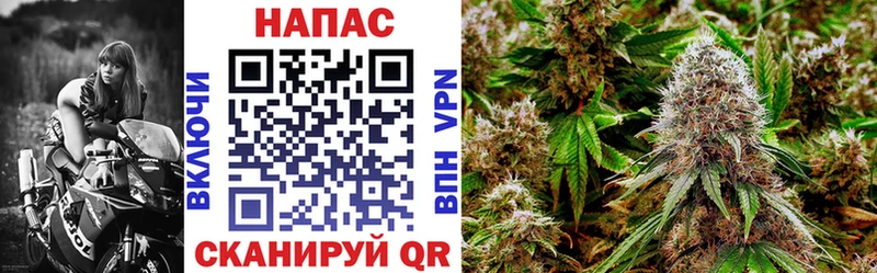 Бошки Шишки сатива  Лагань 